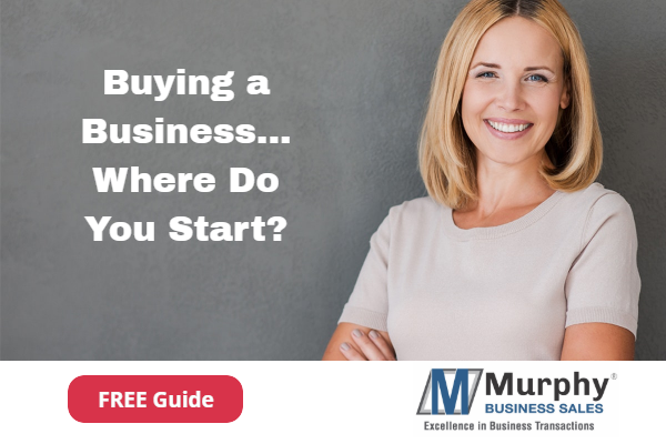 Buying a Business Free Download