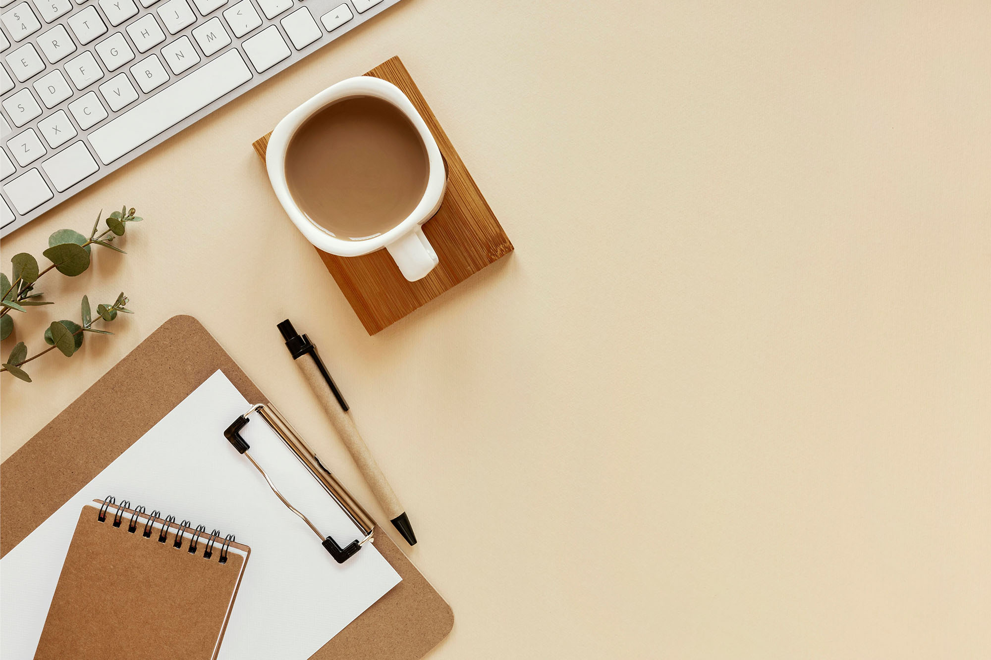 Articles and Insights