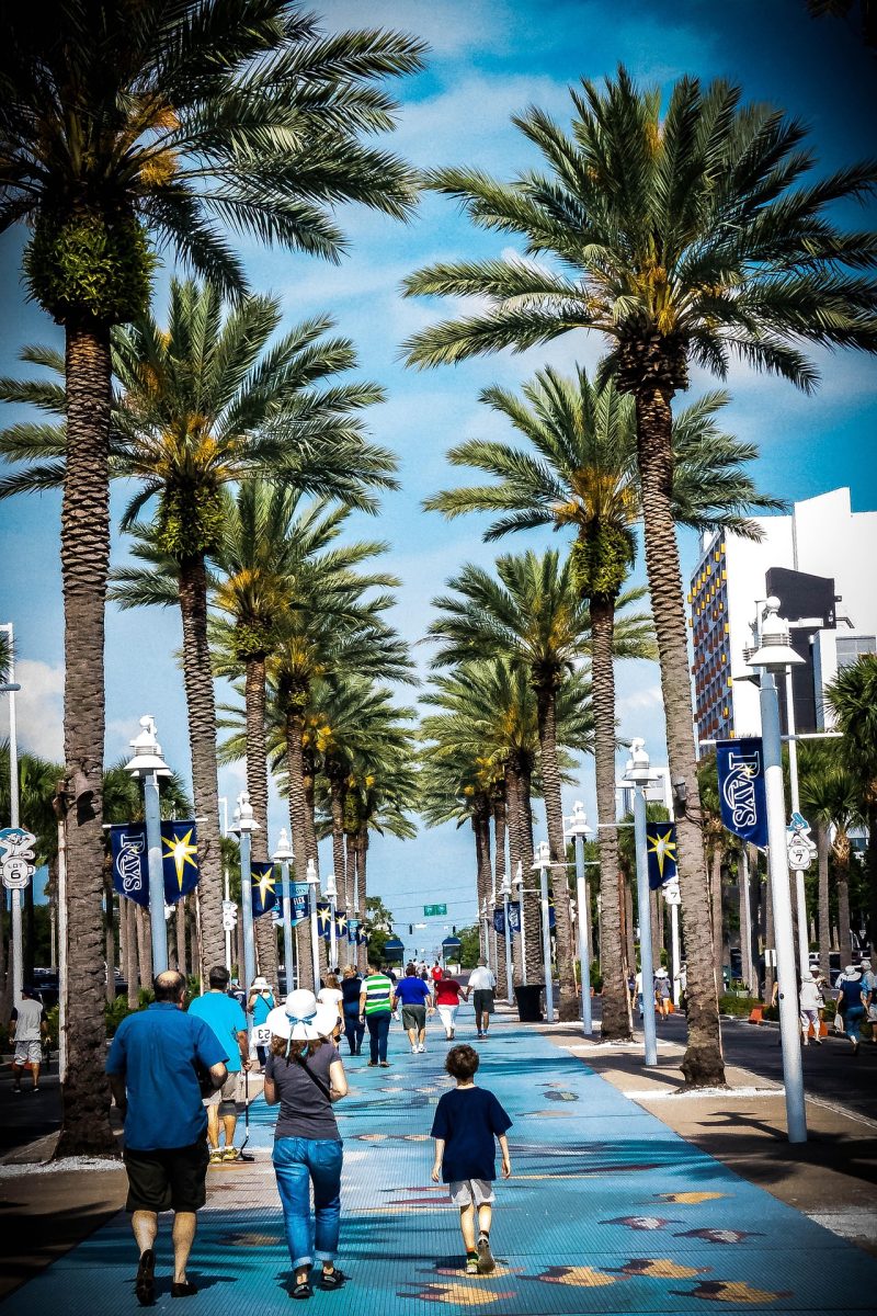 Street in St. Petersburg, FL