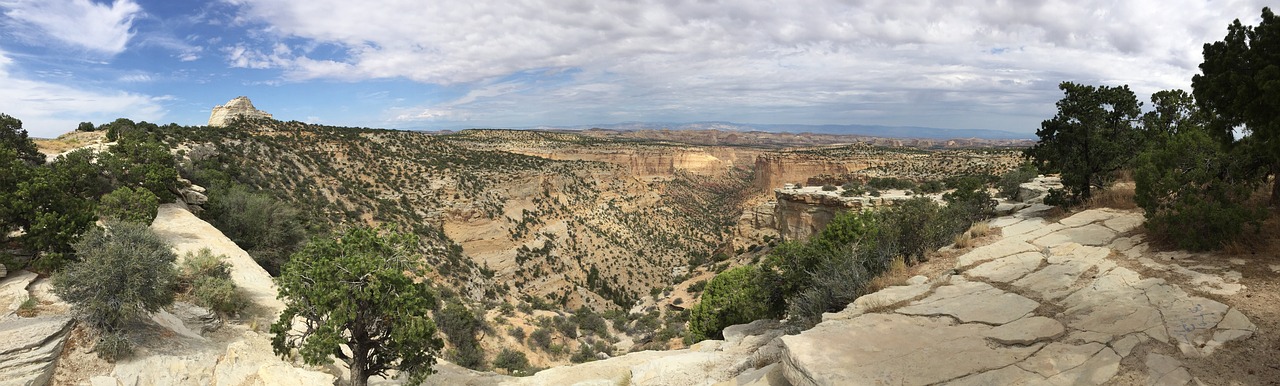 Why Murphy Business Sales Utah County